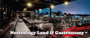 nestcology land & gastronomy tempat nongkrong di semarang