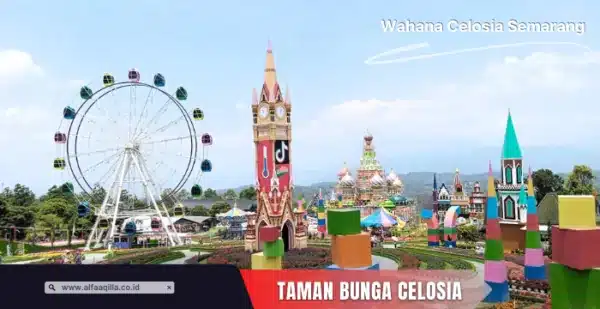 Wisata Taman Bunga Celosia Semarang