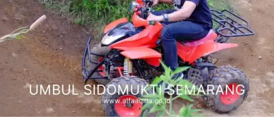 Umbul Sidomukti - atv