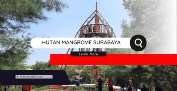 hutan mangrove surabaya