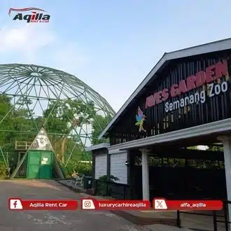 Semarang Zoo - wisata semarang viral