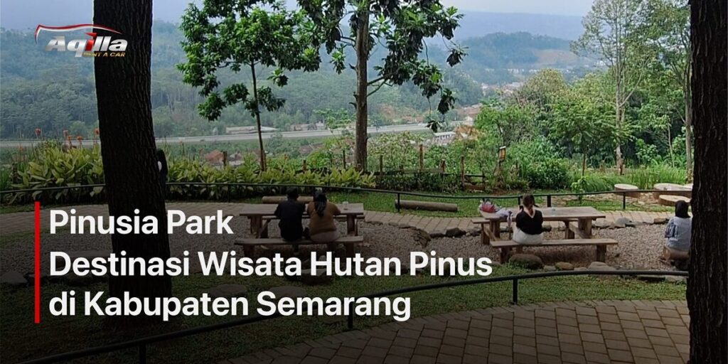 Pinusia Park: Destinasi Wisata Hutan Pinus di Kabupaten Semarang