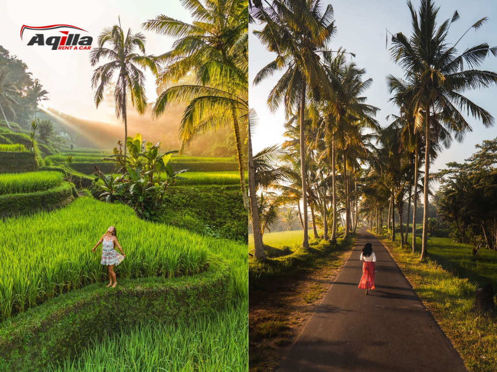 Rental Mobil Bali Ubud Rental Mobil Bali Ubud
