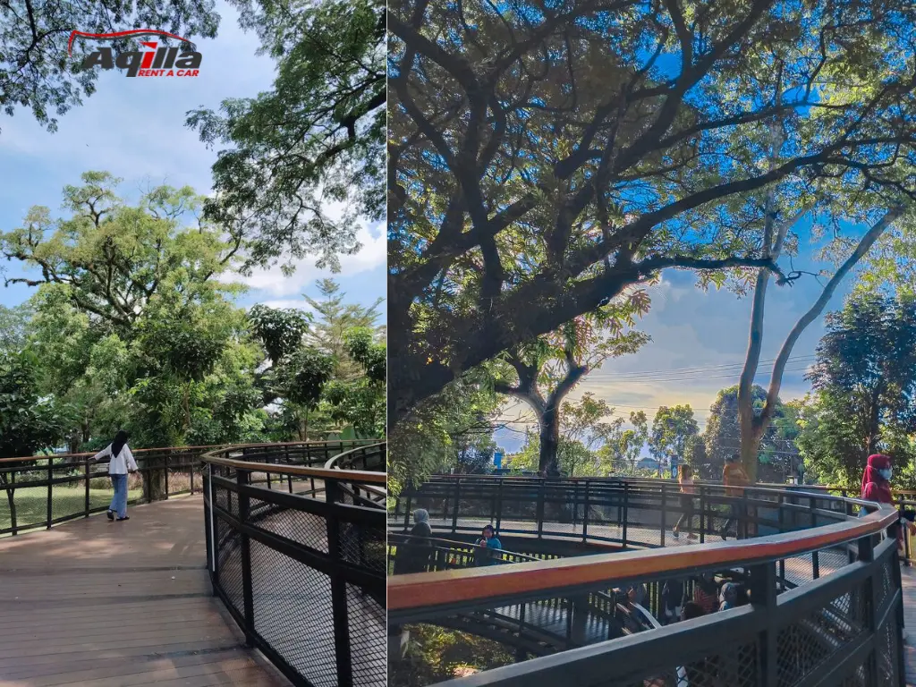 taman balekambang surakarta sewa mobil surakarta taman balekambang surakarta sewa mobil surakarta