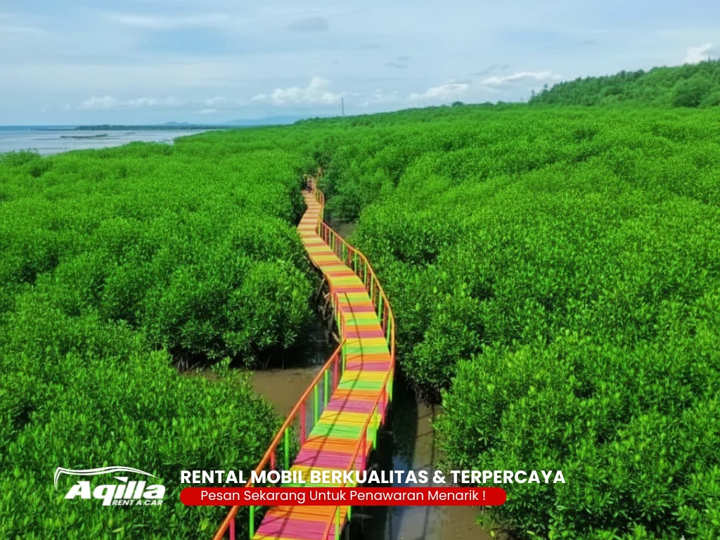 Hutan Mangrove Lantebung makassar