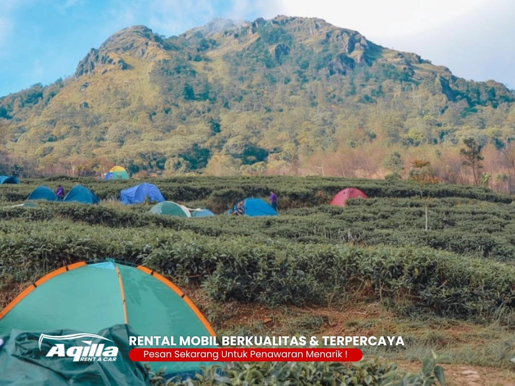 Wisata Gunung Ungaran Wisata Gunung Ungaran