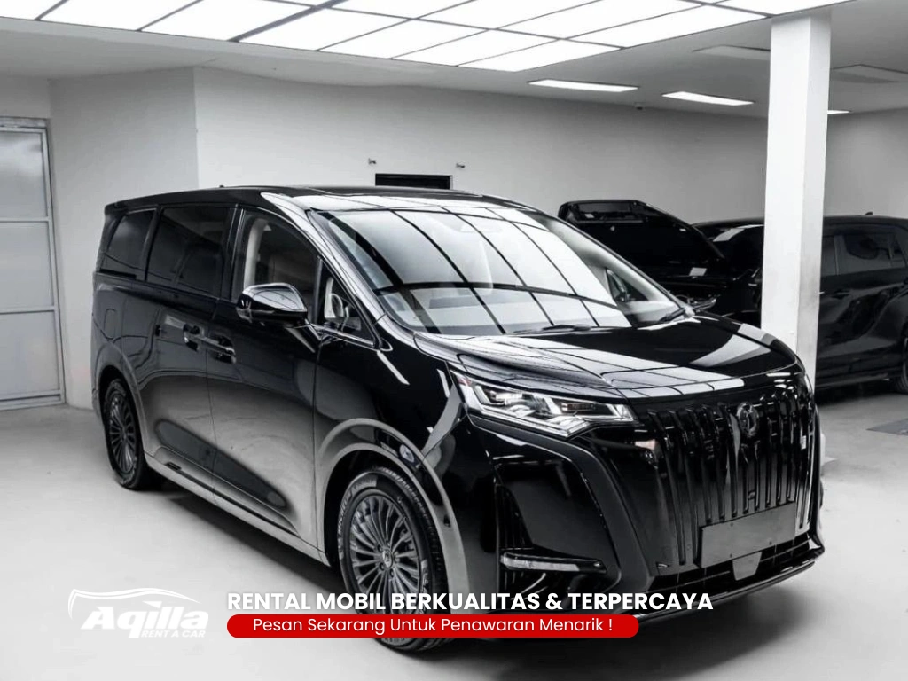 Denza D9 Cosmos Black