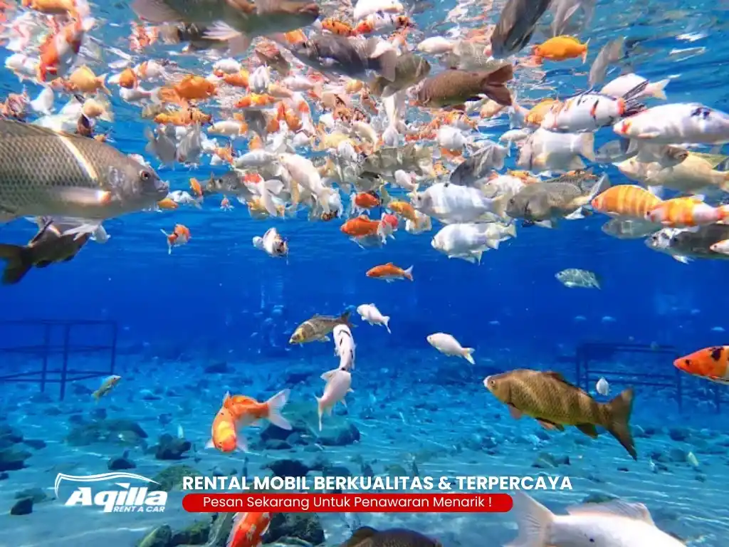 umbul ponggok klaten